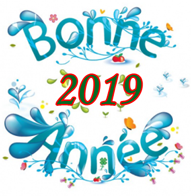 bonne-annee-293x300