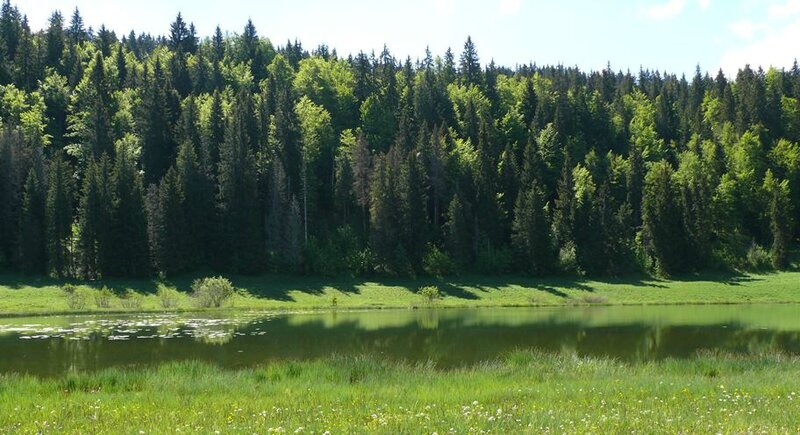 Lac de Lamoura