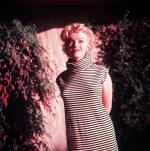 1954-PalmSprings-HarryCrocker_home-by_ted_baron-striped-020-2