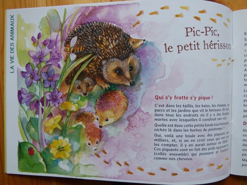 Fanette et Filipin printemps 17 (2)