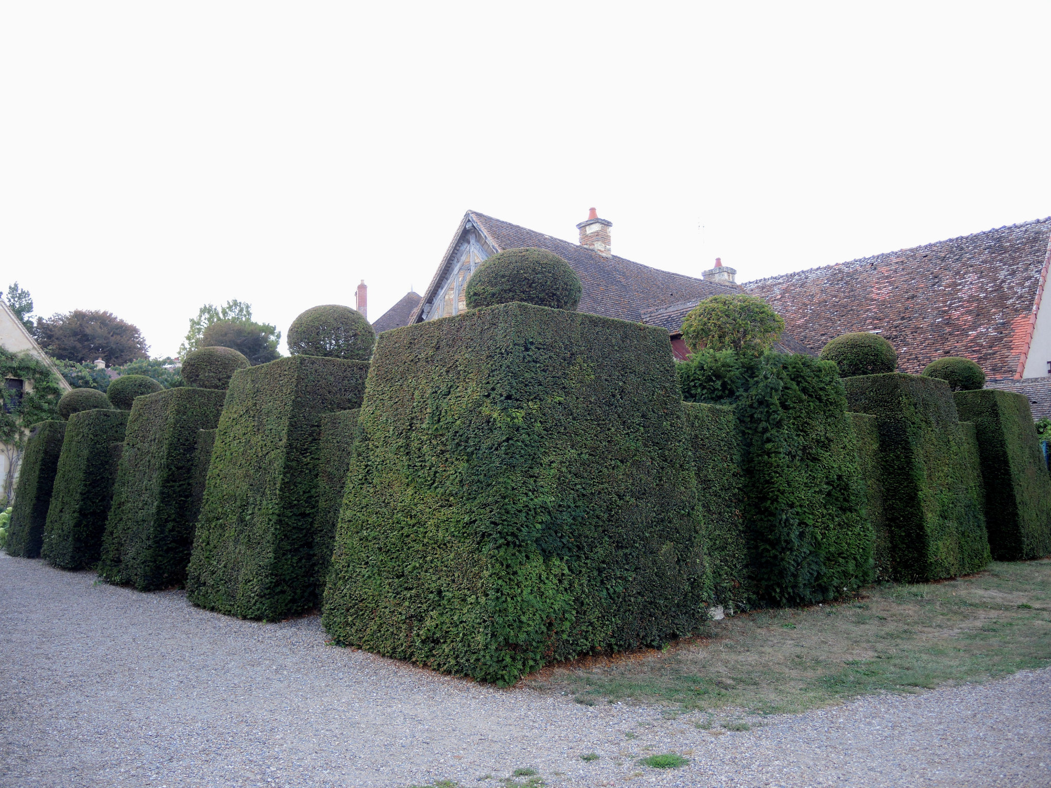 Apremont-sur-Allier, buissons sculptés (18)