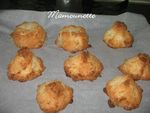 Cocottes___la_noix_de_coco_001