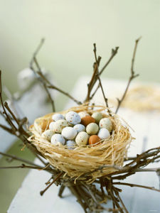 400638_Sweet_Easter_Eggs_in_a_Nest_Affiches
