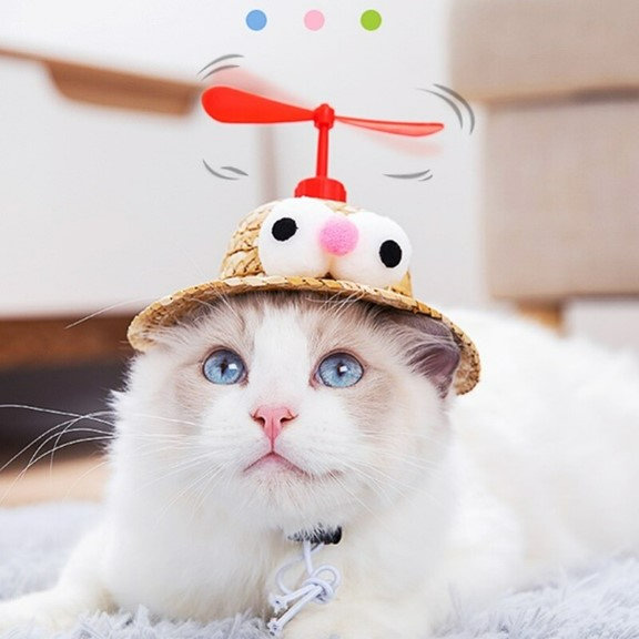Un chat avec un chapeau avec hélice