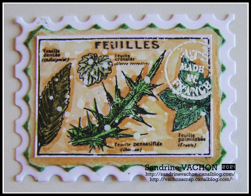 ats feuille sandrine vachon dt