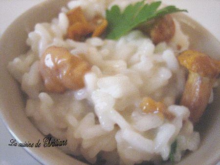 Risotto_aux_girolles