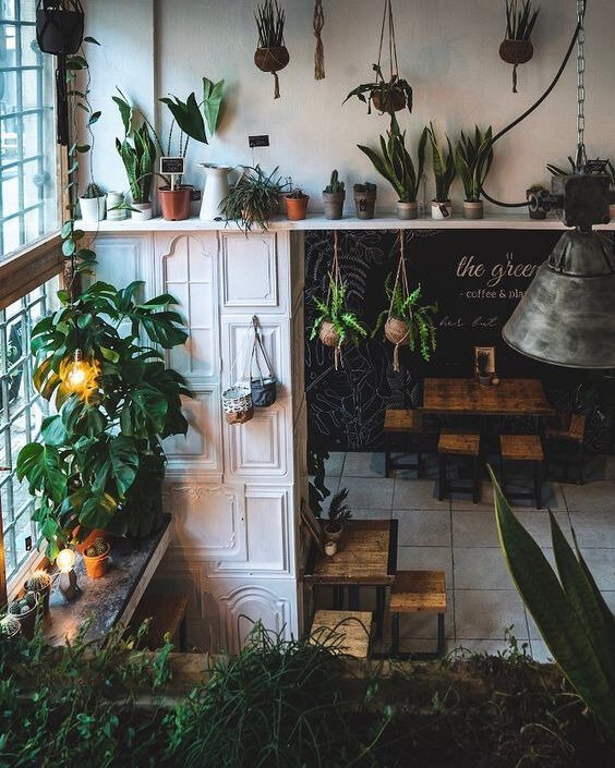 tumblr_psypmgoYFb1wd76zwo1_640