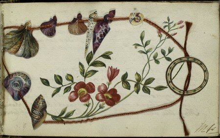 coquillages_et_fleurs