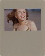 lot1110-H3257-L78860345