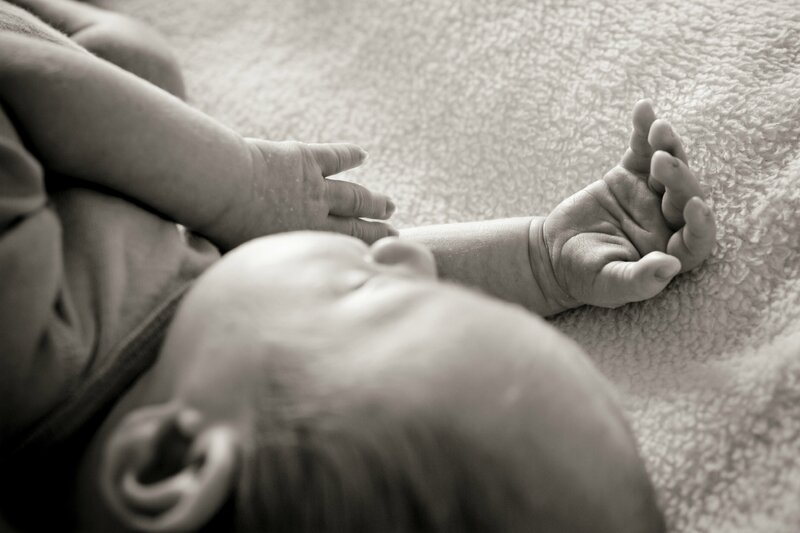LittlePirate ©Over my rainbow photographie