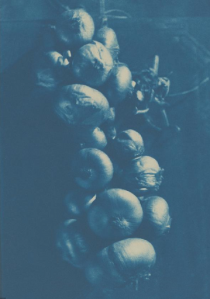 daguerotype1850chapeletoignons1