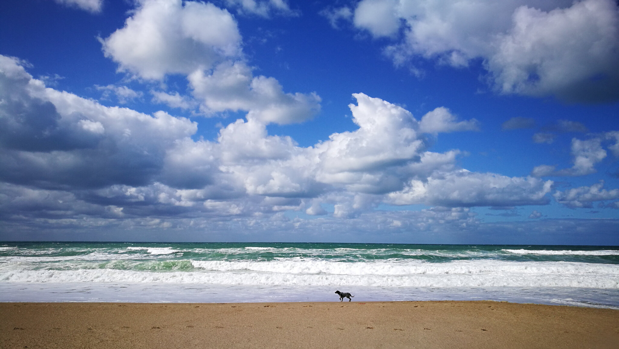 Huchet, la plage, Couillu horizon (40)