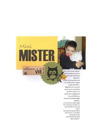 mini_mister
