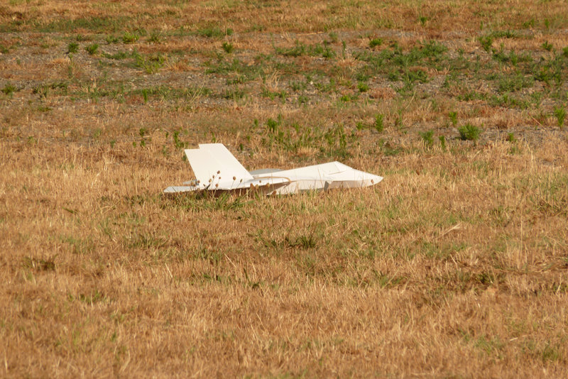 P1110290