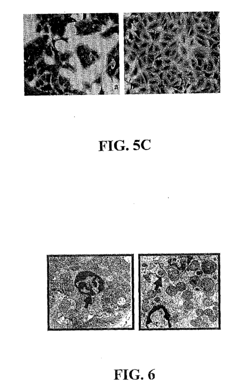US20090297622A1-20091203-D00007
