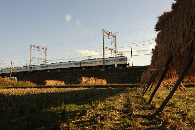DSC08487
