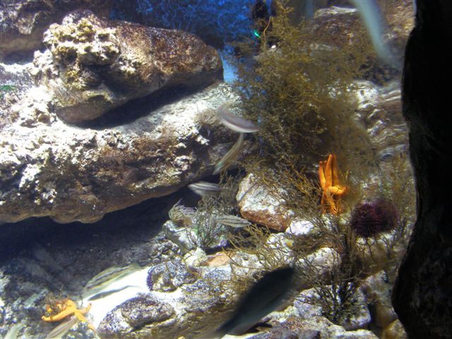 20juin2008 006