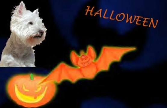 hallow0