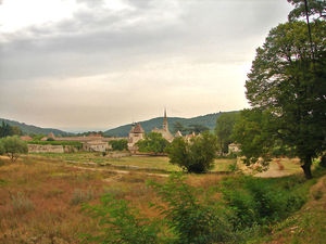 Chartreuse_de_Valbonne__2_