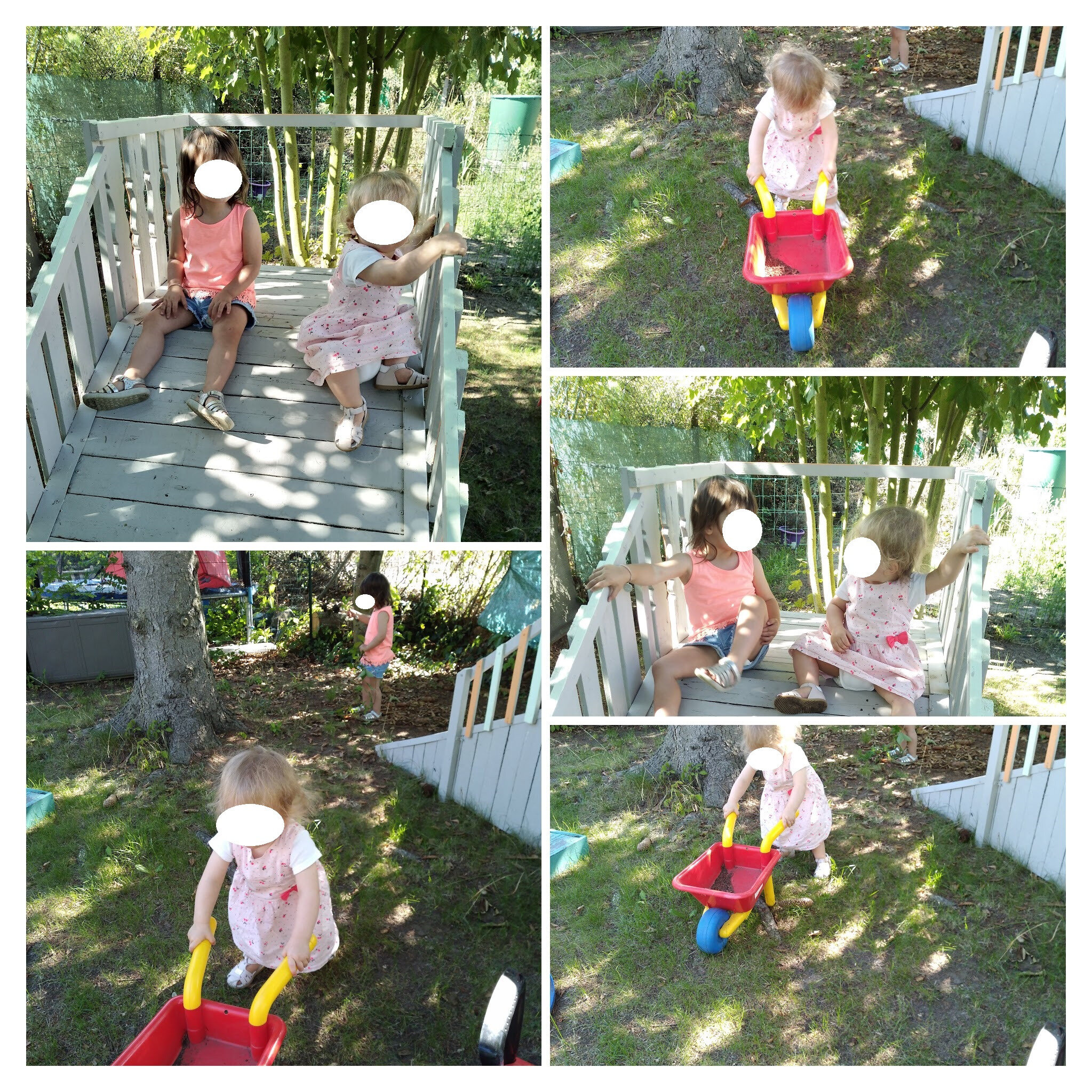 IMG_20190823_104830857-COLLAGE