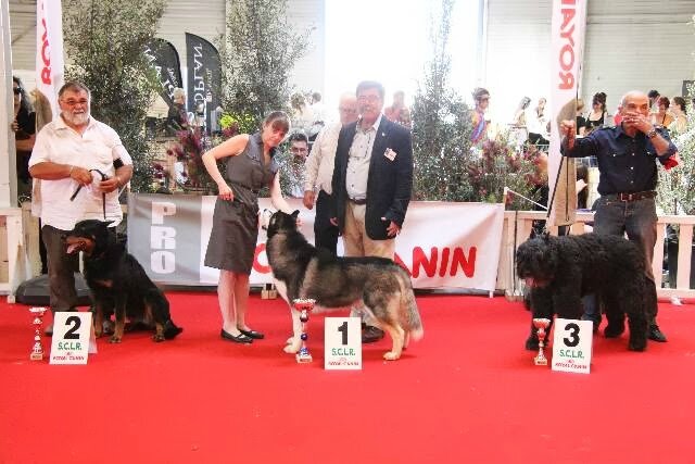 CHAMPION INTERNATIONAL DE BEAUTE UROS DE LA DULLAGUE