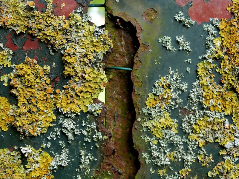 Couleur d'automne 3