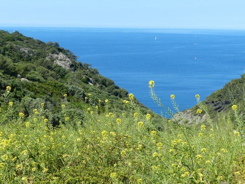 P1240871