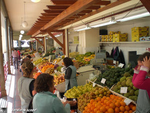 9048_Mercado_Funchal