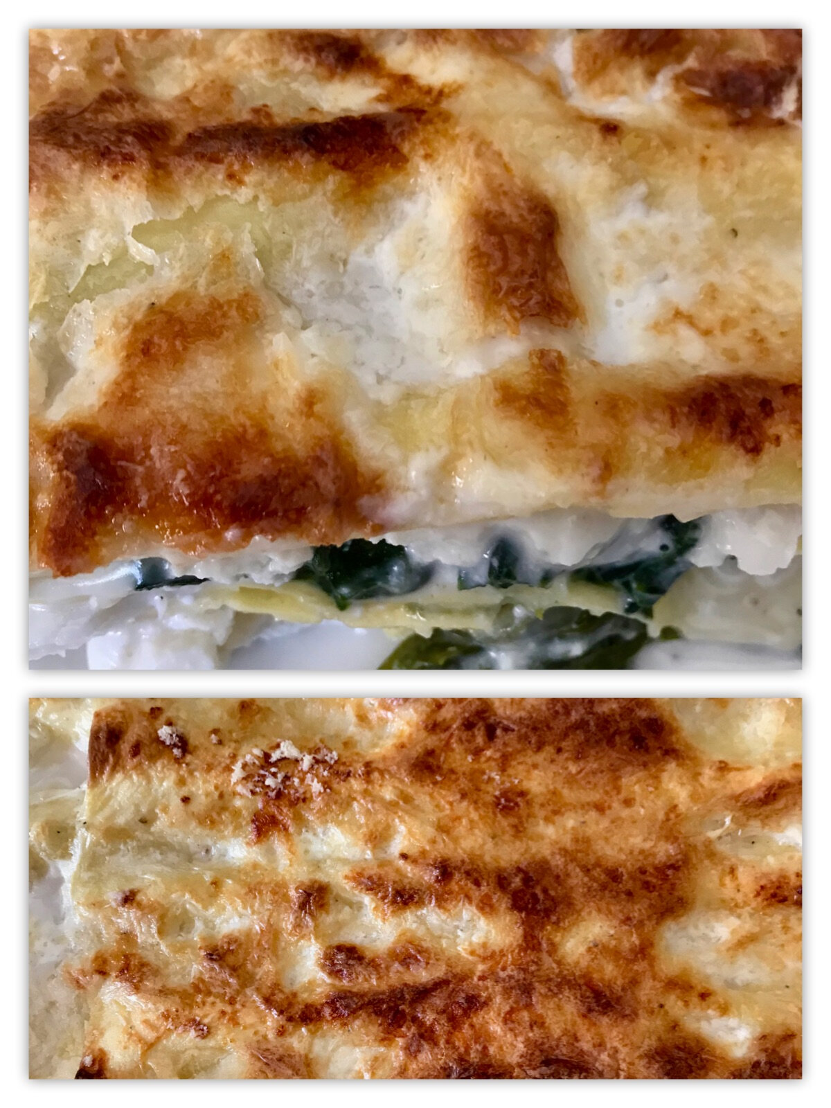 gratin de lasagne aux poireaux et ricotta