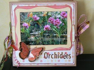 Orchid_es_Thailande_001