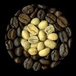 The_particular_beans_that_you_see_here_are_from_a_batch_of_Josuma_Select_Malabar_Gold__a_blend_of_coffee_beans_specially_formulated_for_espresso