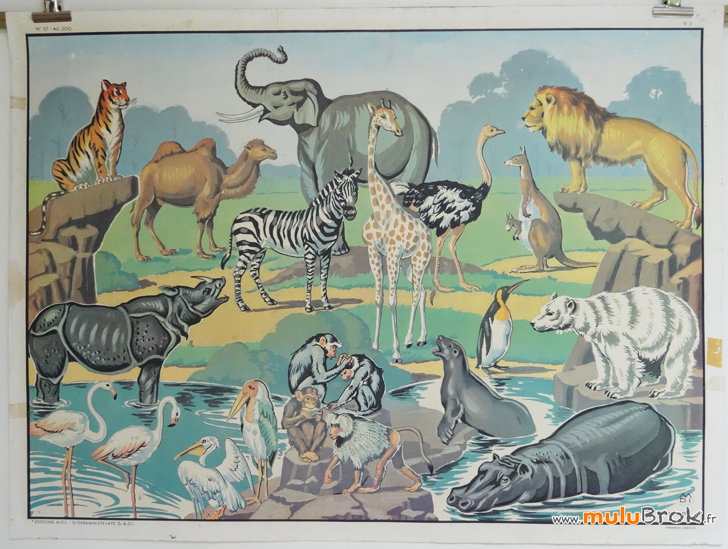 AFFICHE-MDI-26-27-CHIEN-CHAT-ZOO-6-muluBrok-Vintage