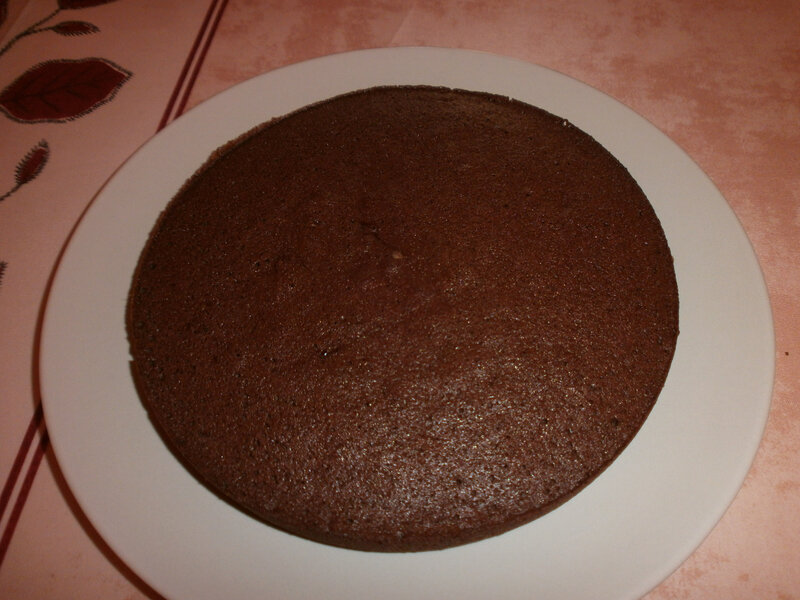 Gâteau léger au chocolat (2)