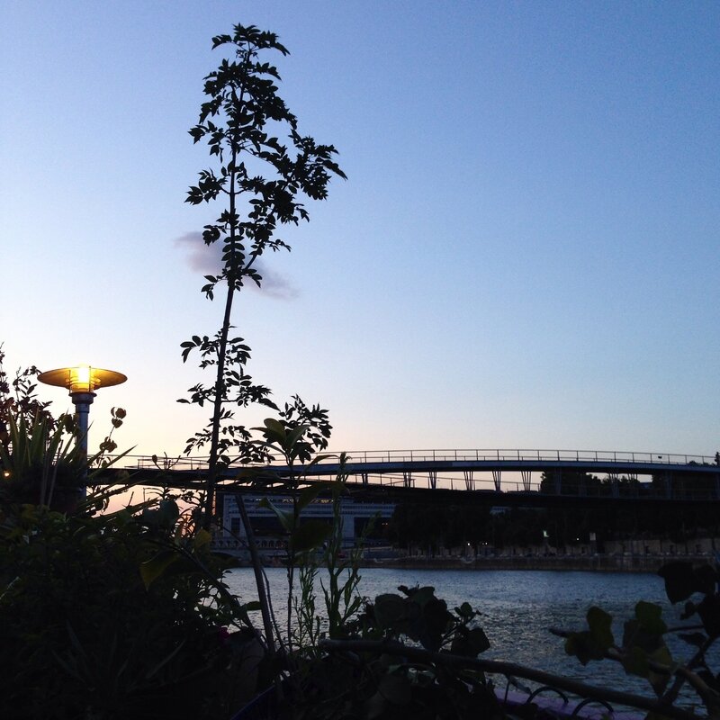 Passerelle Simone de Beauvoir