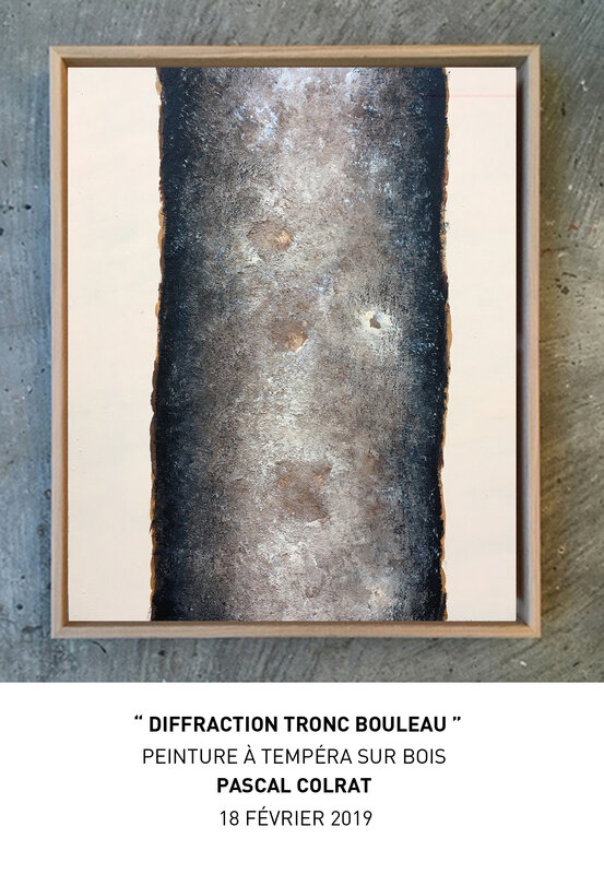 __diffraction_tronc_bouleau__