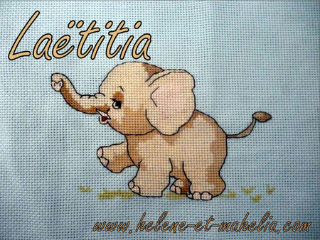 laetitia_elephant_troc