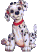 dalmatiens__15_