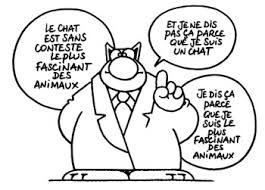 le chat 3