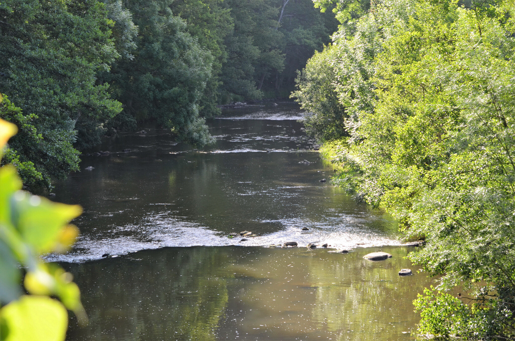 DSC_0079