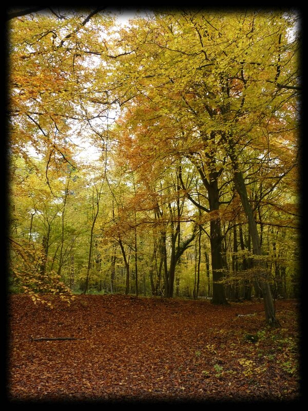 2 automne