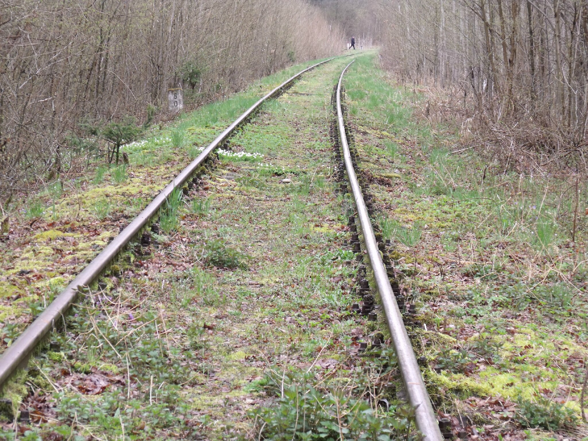 Gierloz (Pologne)