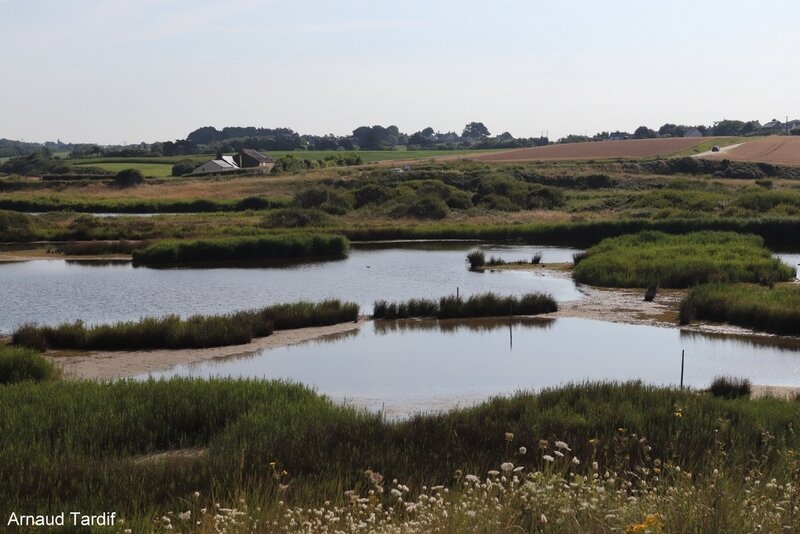 001476 Guidel - L'Etang dun Petit Loc'h entre notre Camping et Guidel-Plage