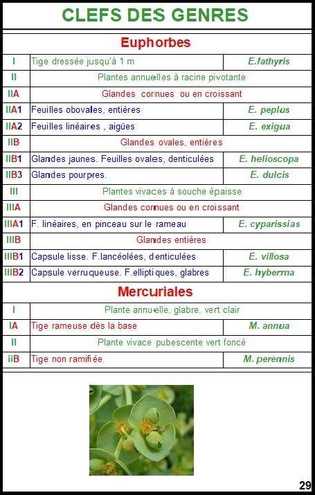 Clef_des_genres