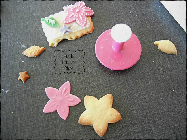 test zodio 1 prunillefee 4