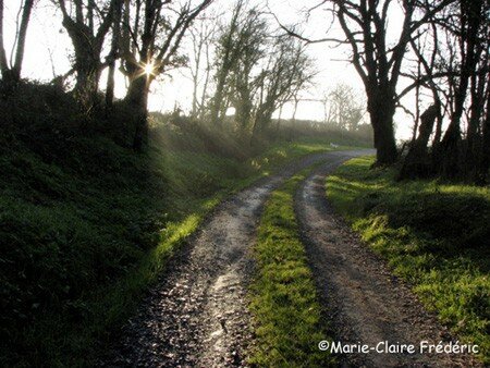 chemin