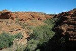 Kings_Canyon_Northern_Territory_Australie_2