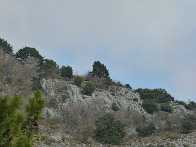 P1090266