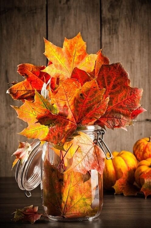 feuilles_automne_bocal