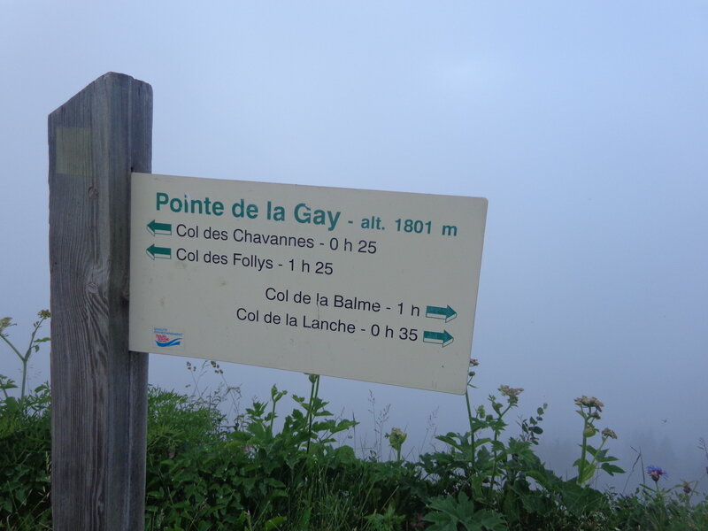 Pointe de la Gay... Brumeuse