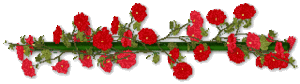 Gif barre gerbe de fleurs rouge vif 320 pixels